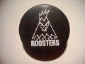 iserlohn_roosters_2