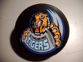 straubing_tigers