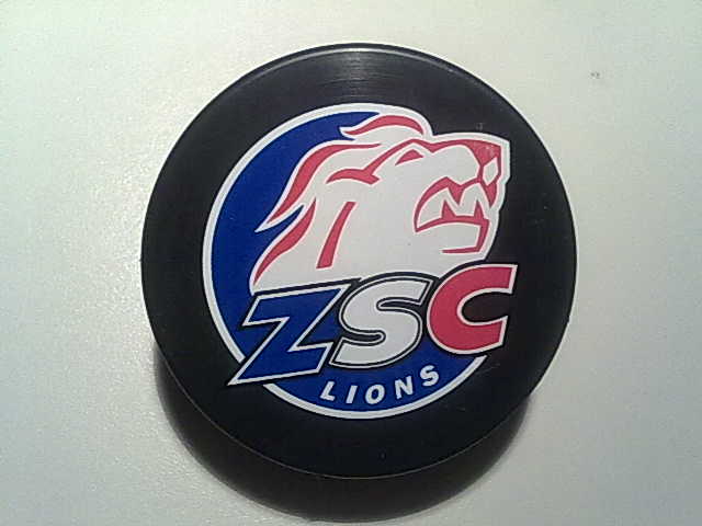 zsc_lion_3.jpg