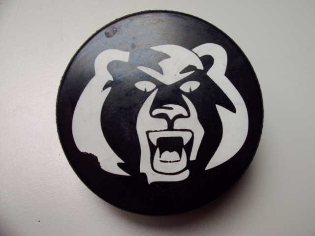 knoxville_ice_bears_1.jpg