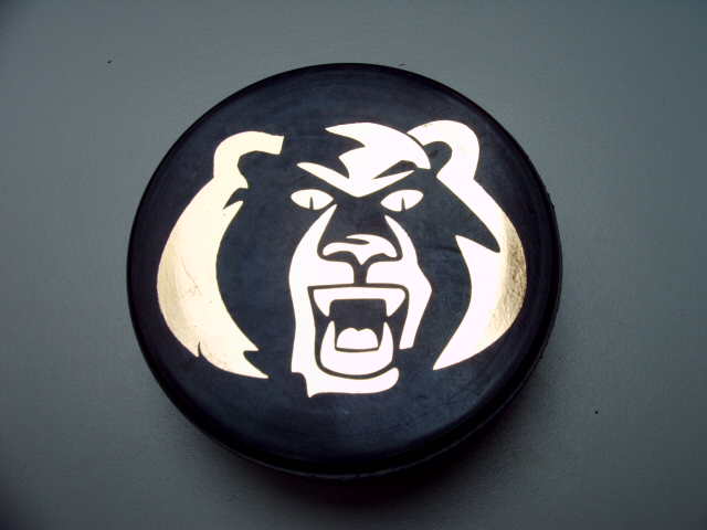 knoxville_ice_bears_2.jpg