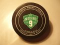 dallas_modano