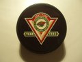 minnesota_wild_33