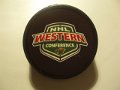 minnesota_wild_34