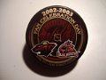 minnesota_wild_fan_2002
