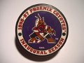 Phoenix Coyotes