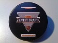 draft_1991