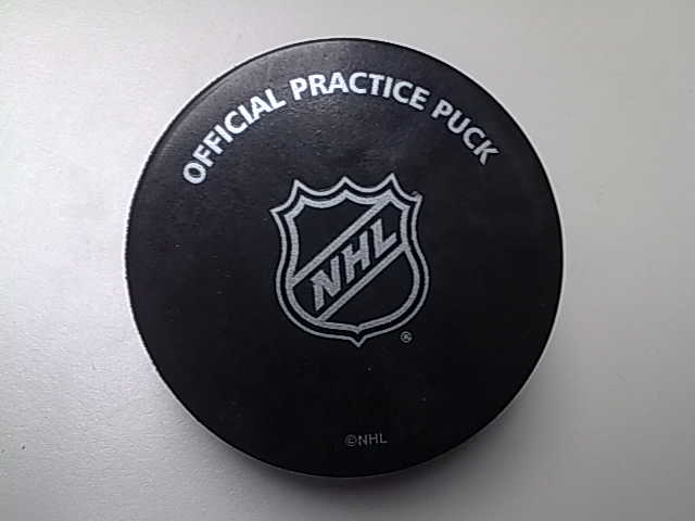 practice_puck_4.jpg