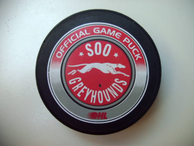 ohl_soo_greyhounds_2.jpg