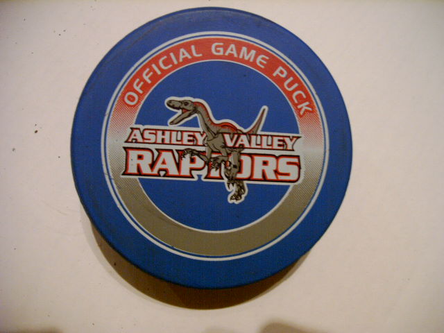 ashley_valley_raptors.jpg