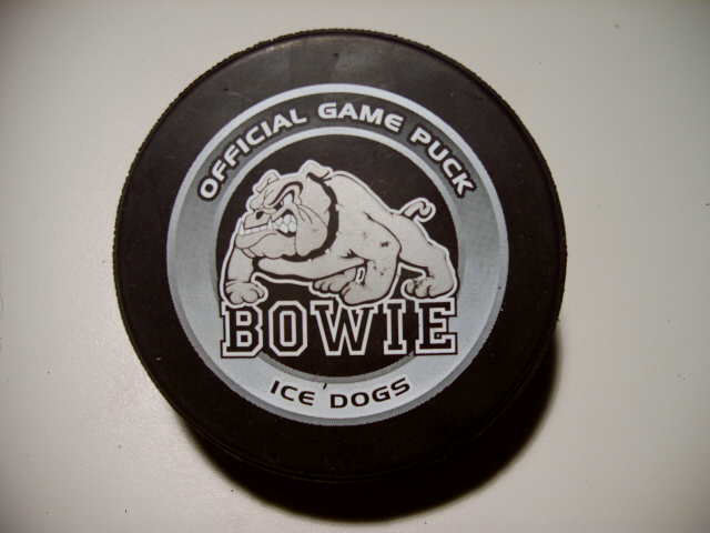 bowie_ice_dogs.jpg