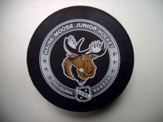 ijhl_maine_moose.jpg