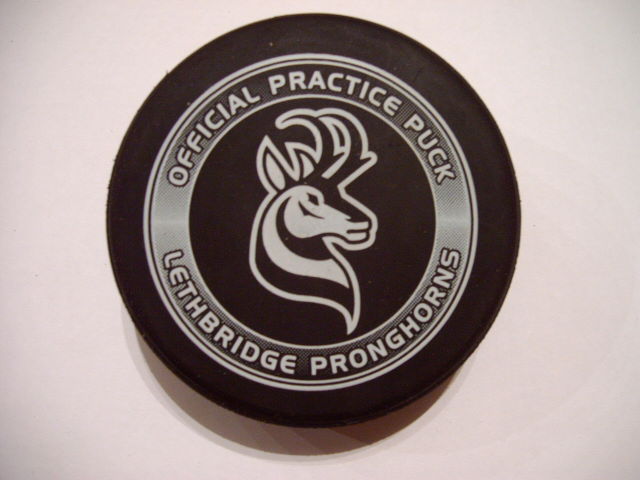 lethbridge_pronghorns.jpg