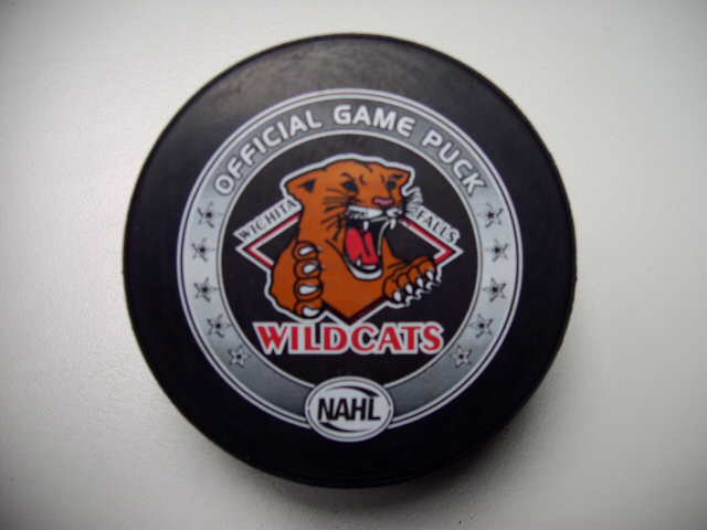 nahl_wichita_falls_wildcats.jpg