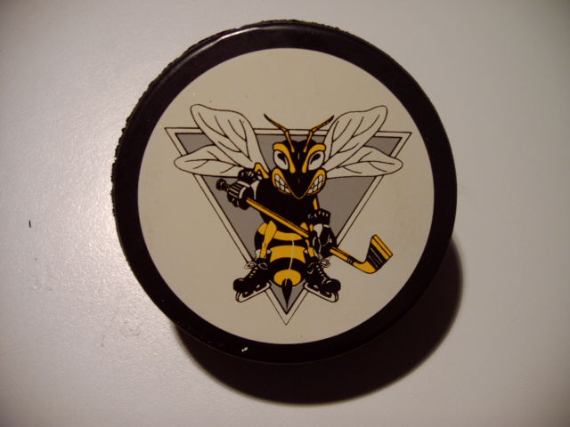 sarnia_sting.jpg