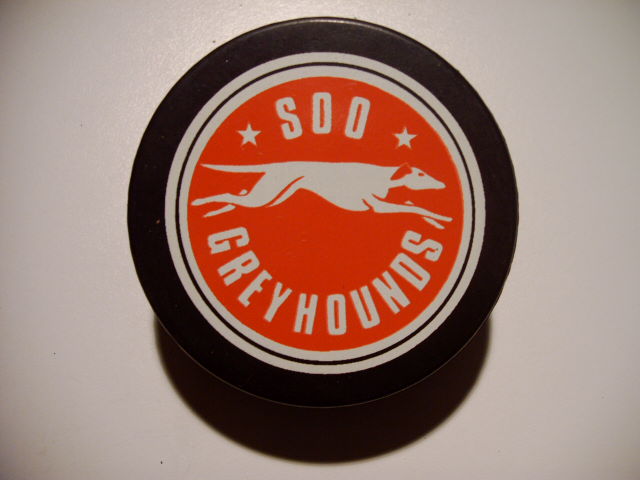 soo_greyhounds.jpg