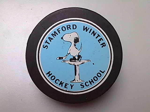 stamford_winter_hockey_school.jpg
