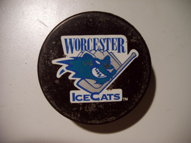 worcester_ice_cats.jpg