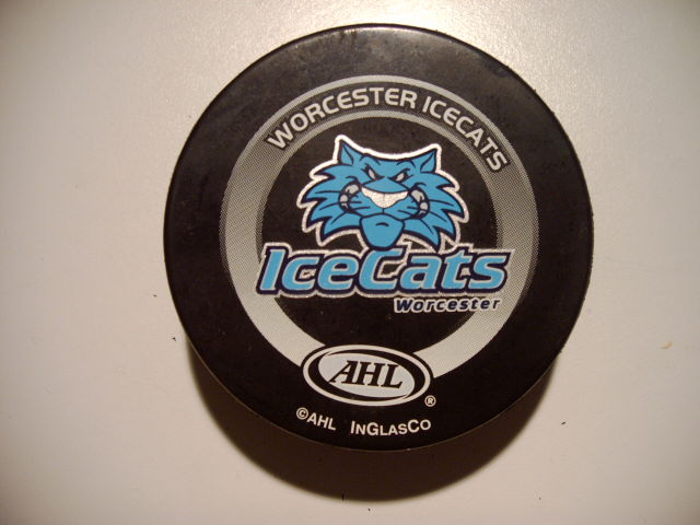 worcester_ice_cats_2.jpg