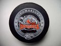 ajhl_drumheller_dragons