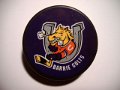 barrie_colts