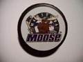 manitoba_moose