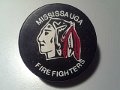 mississauga_fire_fighters