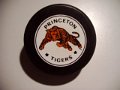 princeton_tigers