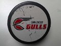 san_diego_gulls_2