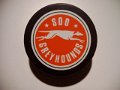 soo_greyhounds