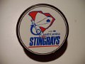 south_carolina_stingrays_2