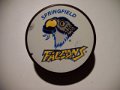 springfield_falcons_2