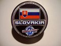 world_cup_2004_slovakia